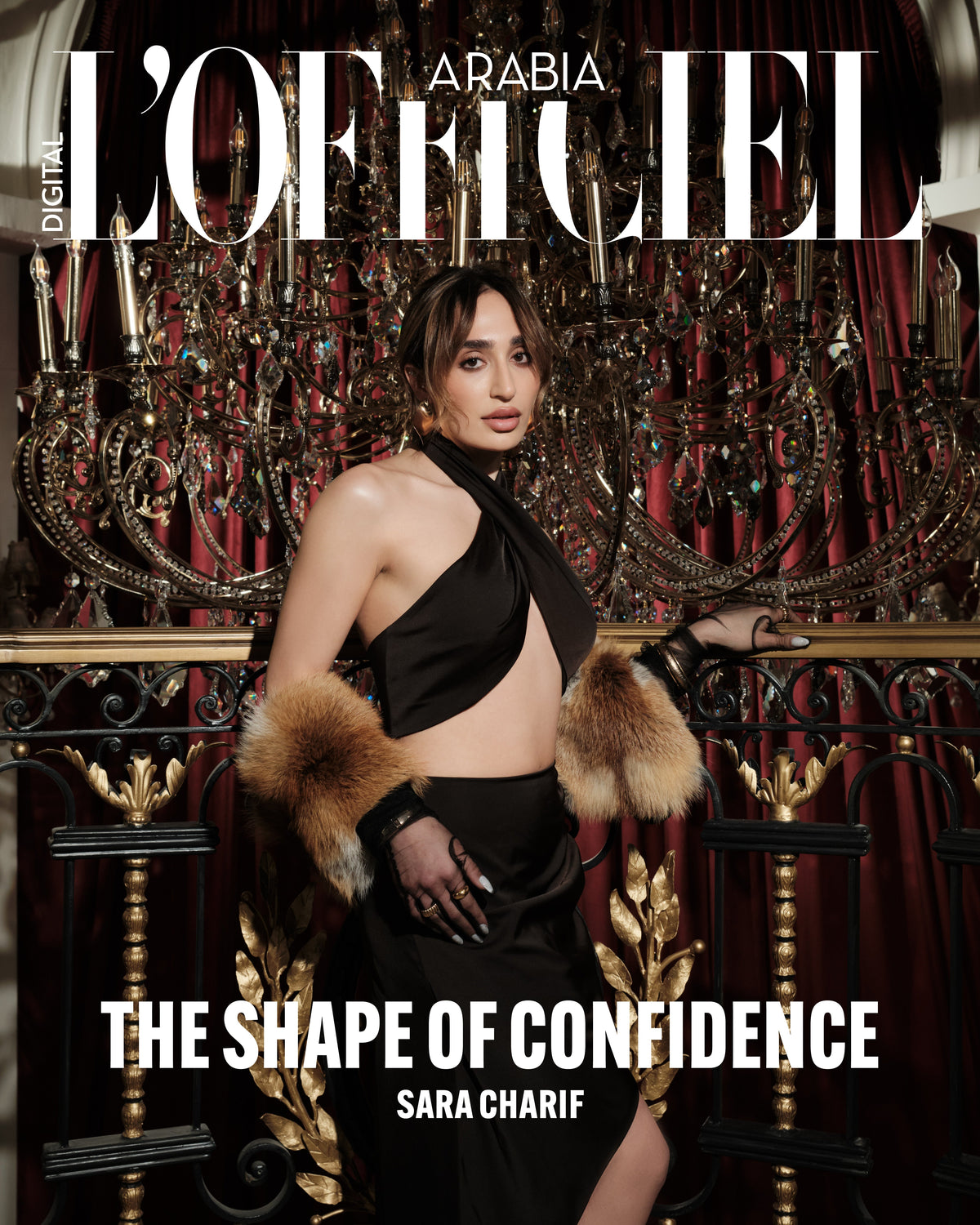 The Shape of Confidence